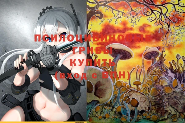 эйфоретик Рославль
