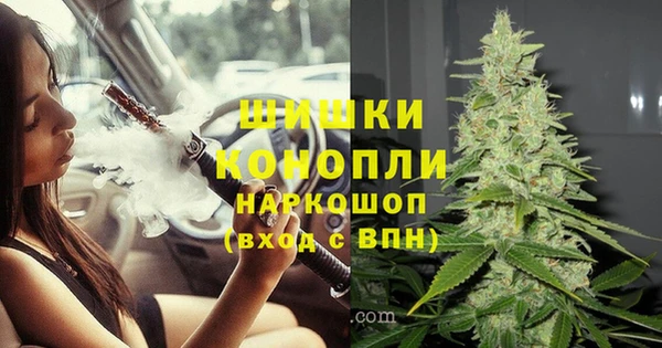 крисы Россошь